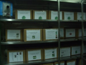 psyktikos thalamos diatirisis sporwn